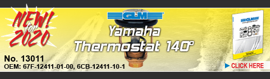 NEW! Yamaha Thermostat