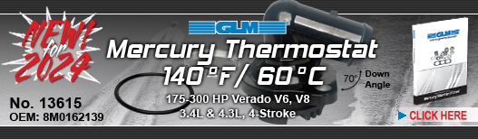 NEW! Mercury Thermostat