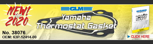 NEW! Yamaha Thermostat Gasket