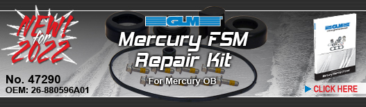 NEW! Merc FSM Repair Kit