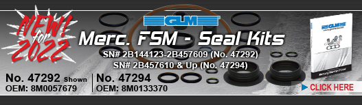 NEW! FSM Seal Kits