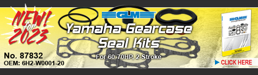NEW! Gearcase Seal Kit