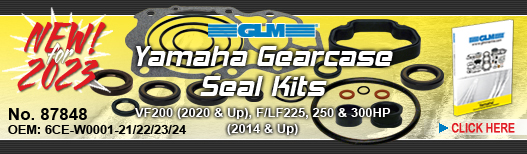 NEW! Gearcase Seal Kit